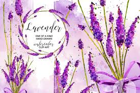 Flower watercolor png you can download 26 free flower watercolor png images. Free Lavender Watercolor Clipart Collection Printable Purple Flowers Purple Crafter File