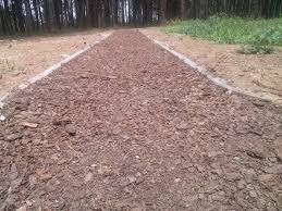 Trim Staza U Sabcu Country Roads Road Structures