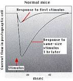 Image result