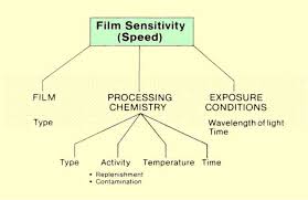 The Photographic Process And Film Sensitivity