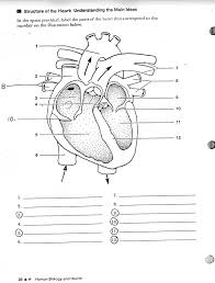 Account Suspended Heart Diagram Human Heart Diagram Human Body Systems