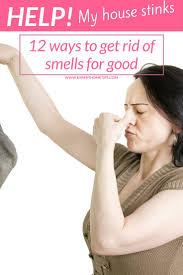 We did not find results for: Help My House Stinks How To Get Rid Of Smells For Good Expert Home Tips