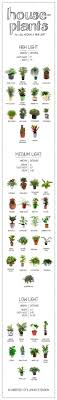 23 Diagrams That Make Gardening So Much Easier Plants Indoor Plants House Plants