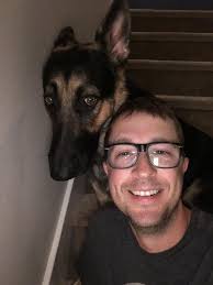 Golden retriever scared of loud bangs