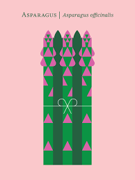 Vegetables Poster Illustrations by Christopher Dina