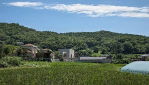 The manhwa is full color. The Manhwaricano Home In Korea The Extraordinary In The Ordinary Arch2o Com