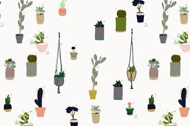 Tons of awesome cactus aesthetic wallpapers to download for free. Cute Cactus Wallpapers 4k Hd Cute Cactus Backgrounds On Wallpaperbat