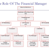 A finance manager is responsible for managing the financial health of an organization in order to promote success and growth while maintaining legal financial practices. 1