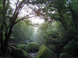 En exclusivite dans votre agence ! Point Cyber Et Point Relais Emploi De Huelgoat Site Officiel De Monts D Arree Communaute