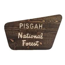Check spelling or type a new query. National Forest Sign National Park Sign Custom Sign Personalized Sign Camping Sign Wood Sign Forest Service Signs Weathered Wood Sign Personalized Signs Wood Signs National Forest