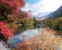 Logan Canyon Ut Places To Go Scenery Valley View