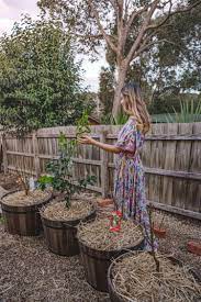 See more ideas about fruit trees, fruit trees in containers, fruit. How To Grow Fruit Trees In Containers Connie And Luna