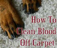 Practice makes perfect—yes, in the realm of stain removal. Tips To Clean Blood Out Of Carpet Carter S Carpet Restoration