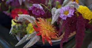 Pin On Flower Farm