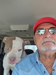 Peacocks spotted at Strates Diner