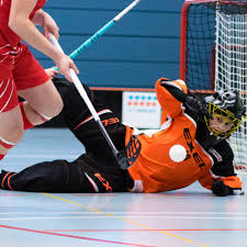 Unihockey red lions frauenfeld, frauenfeld, switzerland. Unihockey Red Lions Frauenfeld Home Facebook