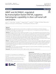 Johan secara tidak sengaja membuatkan arluna jatuh ke dalam kolam. Pdf Abat And Aldh6a1 Regulated By Transcription Factor Hnf4a Suppress Tumorigenic Capability In Clear Cell Renal Cell Carcinoma