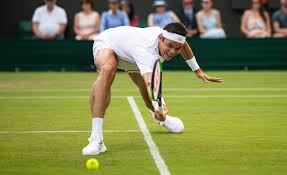 Raonic is seeing the ball like a beach ball! — @kevinskinnermia mighty impressive stuff from @milosraonic at the @hitennisopen exhibition. Milos Raonic Reveals Why His Success Has Helped Andreescu Auger Aliassime Shapovalov Tennishead