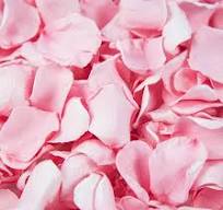 Amazon.com: Eslibin 180 PCS Confeti de Pétalos de Rosa Secos ...
