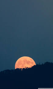 Use images for your pc, laptop or phone. Full Moon Mobile Wallpapers Wallpaper Cave