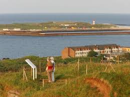 _ haus am meer_ strandmuchel, wenningstedt'te konaklama olanağı sunmaktadır. Nordsee Insel Helgoland