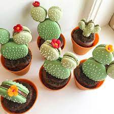 However, the word cactus used alone in a telephone call is not only confusing, but disruptive and annoying. 17 Pictures Of Macarons That Will Ruin All Other Desserts For You Desserts Cute Baking Cute Desserts