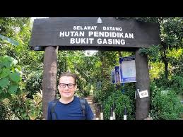 It is a secondary forest stretching there is insufficient parking space at this entrance. Rainforest Hike Near Kuala Lumpur Bukit Gasing Youtube