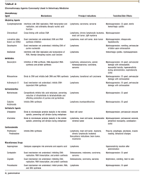 Chart Of Accounts For Veterinary Clinic Quickbooks