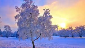 Winter cabin wallpaper is an android personalization app developed by motion interactive and published on the google play store. Free Download Winter Mac Wallpapers Imac Wallpapers Retina Macbook Pro Wallpapers 728x409 For Your Desktop Mobile Tablet Explore 50 Winter Mac Wallpaper Mac Wallpaper Hd Apple Wallpaper Macbook Wallpapers