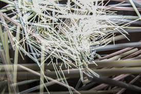 Furthermore, reusable and compostable straws are generally more expensive than plastic ones, which is important to note, because poverty is more prevalent among people with disabilities; Opinion The Straw Debate Isn T Over For Some People With Disabilities The Daily Iowan