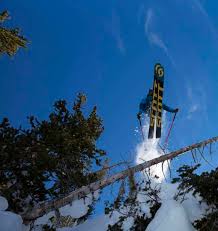 Trails to the east of spectacle pond will lead you through the park's rare red pine natural area. Brighton Ski Trail Maps Ski City