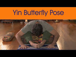 Will Leblanc On Yin Yoga And The Use Of Bolsters Youtube Yin Yoga Butterfly Pose Yin Yoga Poses