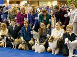 Junior Showmanship – What Juniors Want…The Research Shows | Canine Chronicle