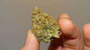 Check spelling or type a new query. Professorflora Reviews Strawberry Lemonade By Barneys Farm 420 Magazine