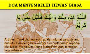 Doa Menyembelih Hewan Qurban Aqiqah Dan Hewan Konsumsi Doa Niat Sholat