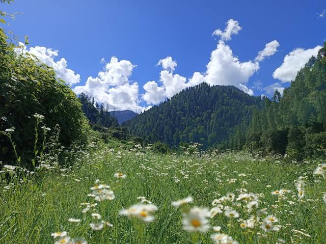 Great Himalayan National Park (Himachal) Image 2