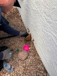 We did not find results for: Look Firefighters Rescue Dog With Head Stuck In Wall Upi Com