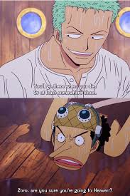 Zoro And Usopp One Piece Funny One Piece Anime One Piece Meme