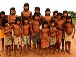 The indigenous peoples in brazil (portuguese: Brazil Indigenous Imbira Peoples English Youtube