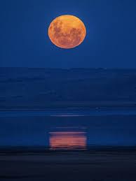 This full moon was first known by early native american tribes as the full pink moon because it marked the appearance of the moss pink, or wild ground phlox, which is one of the first spring look up for the next ones on may 26 and june 24. Nl 6p Or6lipym