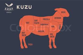 We did not find results for: Meat Cuts Poster Butcher Diagram And Stock Vector Colourbox