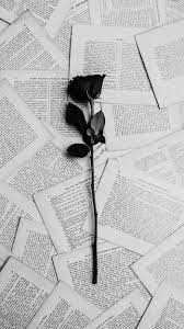 Black aesthetic black and white photo wall black roses wallpaper dark photography dark wallpaper iphone aesthetic wallpapers black and white aesthetic aesthetic roses rose wallpaper. Aesthetic Black Roses Wallpapers Wallpaper Cave