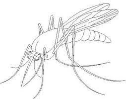 A pop of color will bring this printable mosquito are property and copyright of their owners. Pin On Party Activities For Kids