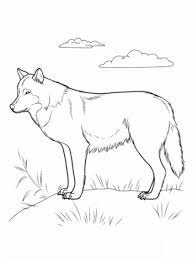 Ausmalbilder wolf zum ausdrucken 1ausmalbildercom wolf zum ausmalen ausmalbilder ausmalbilder ausdrucken wie zeichnet man einen wolf ausmalbilder wolf zum ausdrucken. Wolf Mandala Zum Ausmalen Fur Erwachsene Novocom Top