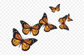 Free Free 294 Realistic Flying Butterfly Svg SVG PNG EPS DXF File