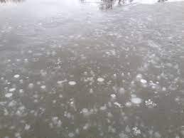 Check spelling or type a new query. Are Bubbles A Sign Of Pond Health Ponds Forum At Permies