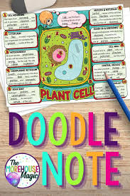 What is cell wall it is an additional covering over cell membrane it is present only in plant cells and not animal cells definition of cell wall plant cells also have additional outer function of cell wall. Plant Cells And Organelles Doodle Notes Science Doodle Notes Video Video Doodle Notes Science Science Doodles Doodle Notes