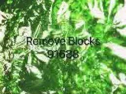 Remove Blocks 91688 Grabovoi Numbers Numerical Sequences For Healing And Materialisation Youtube Healing Codes Switch Words Chakra Healing