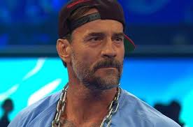 So for the record Yes I get what they were going for lol But look at it in  terms of character and Kayfabe So Cena hit punk in the head with the