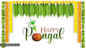 Tamil thai pongal day is a tamil and hindu harvest festival designed to give thanks to the sun god for the abundant harvest that he is believed to enable. I85qemmok Aw2m